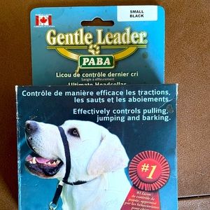 Small black gentle leader